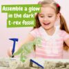 Fossil Excavation Kit I
