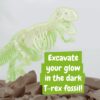 Fossil Excavation Kit I