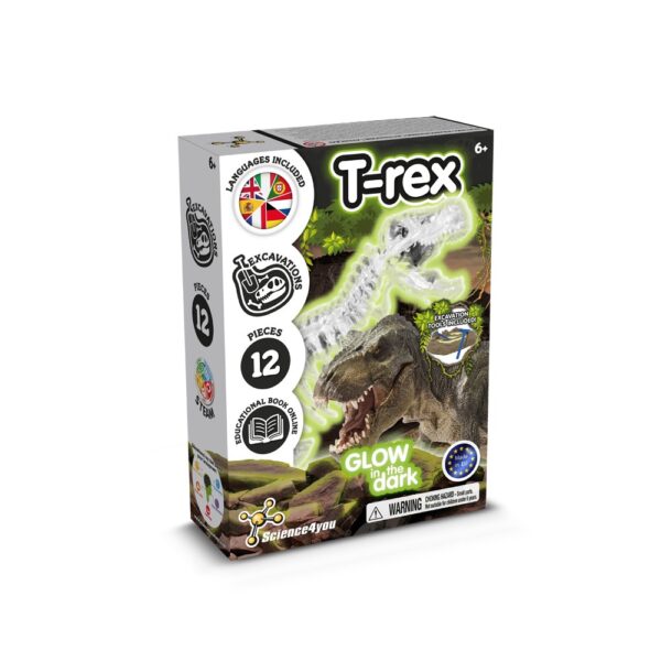 Fossil Excavation Kit I