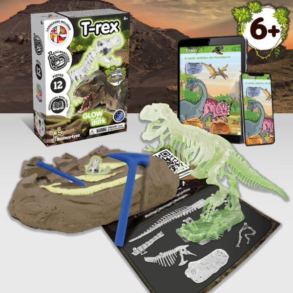 Fossil Excavation Kit III