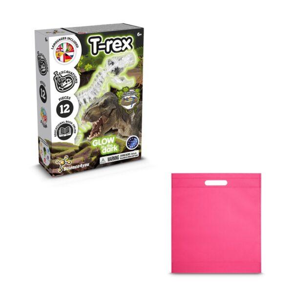Fossil Excavation Kit IV