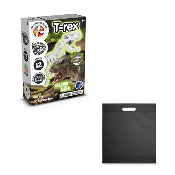 Fossil Excavation Kit IV