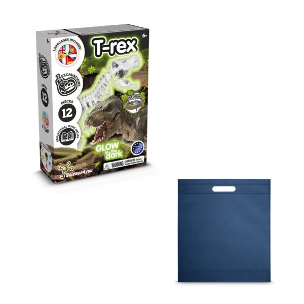 Fossil Excavation Kit IV
