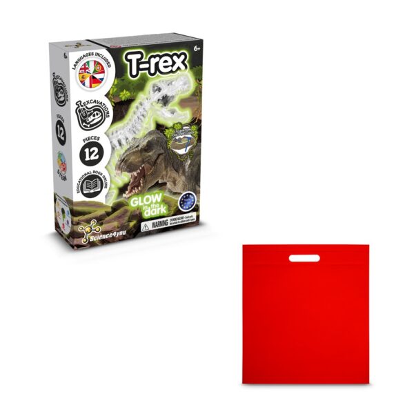 Fossil Excavation Kit IV