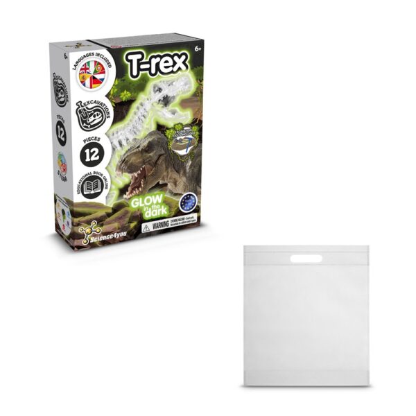 Fossil Excavation Kit IV