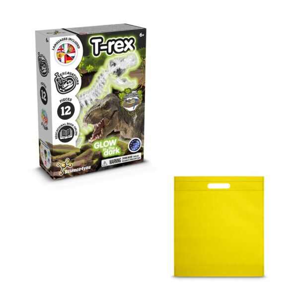 Fossil Excavation Kit IV