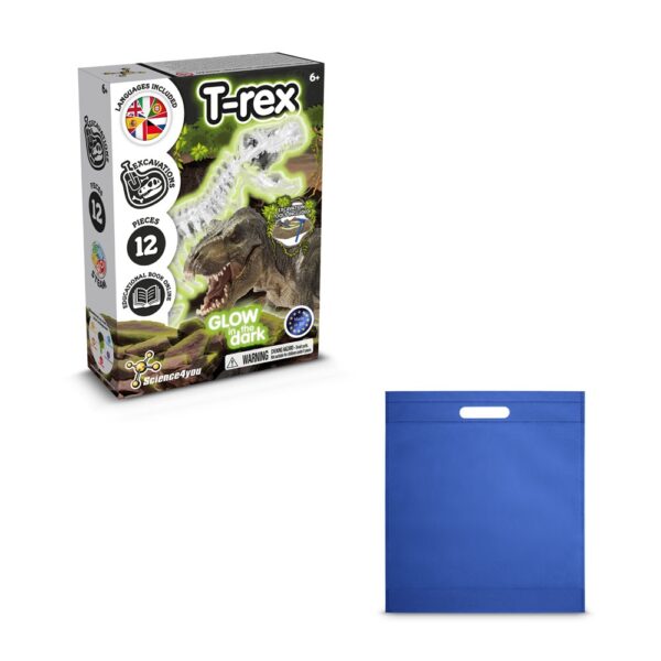 Fossil Excavation Kit IV