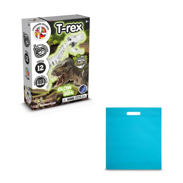 Fossil Excavation Kit IV