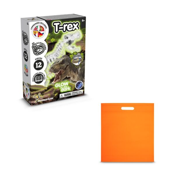 Fossil Excavation Kit IV