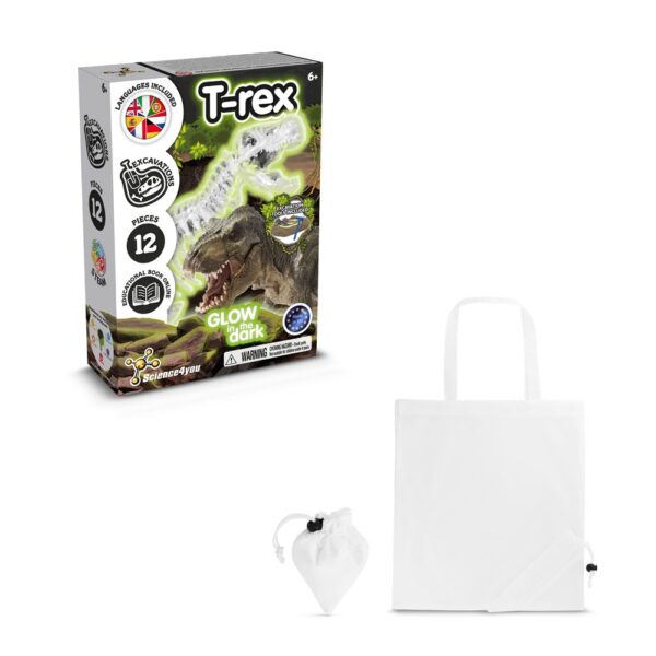 Fossil Excavation Kit V