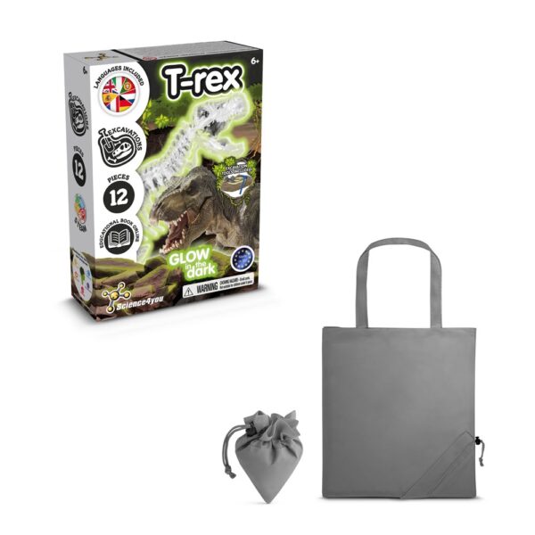 Fossil Excavation Kit V
