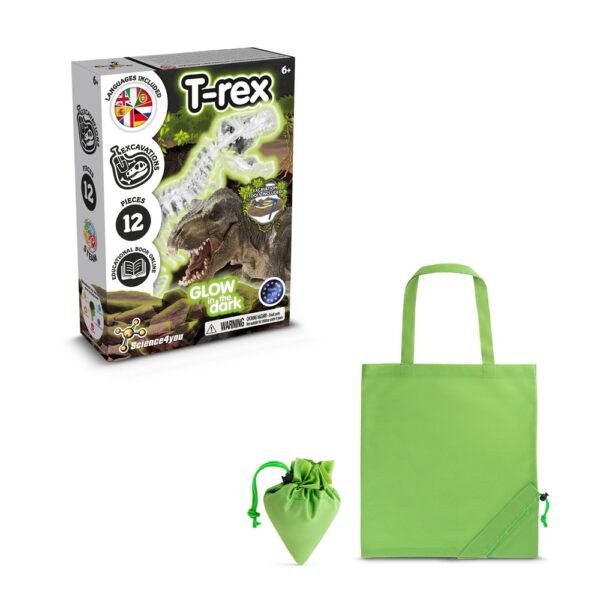 Fossil Excavation Kit V