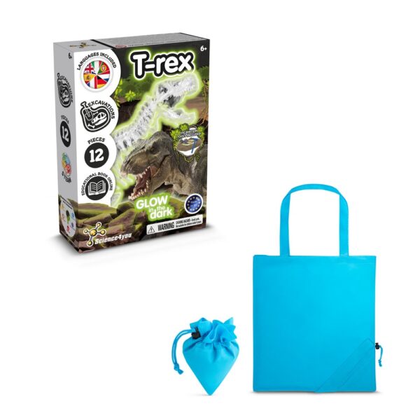 Fossil Excavation Kit V