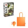 Fossil Excavation Kit V