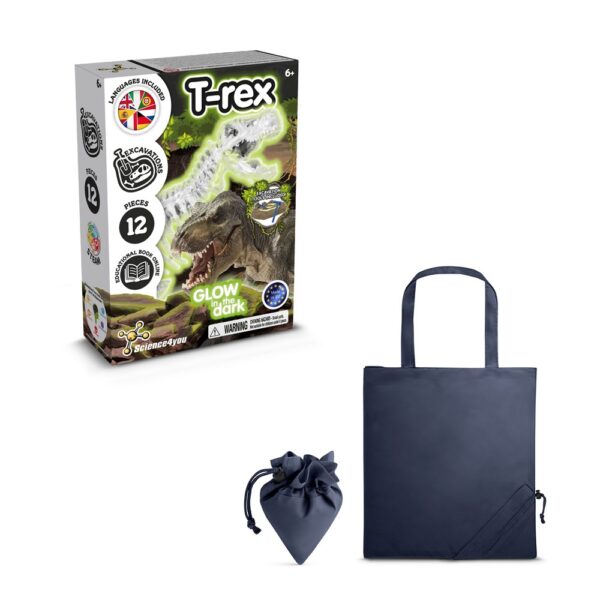 Fossil Excavation Kit V