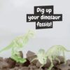 2 in 1 Fossil Excavation Kit II
