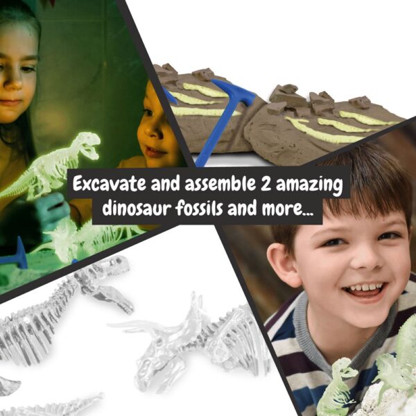 2 in 1 Fossil Excavation Kit II
