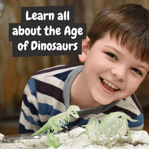 2 in 1 Fossil Excavation Kit III