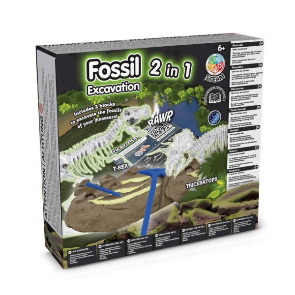 2 in 1 Fossil Excavation Kit IV