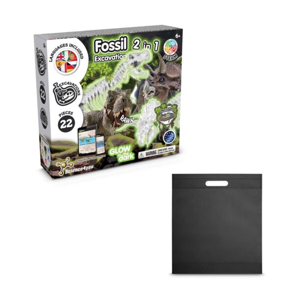 2 in 1 Fossil Excavation Kit IV