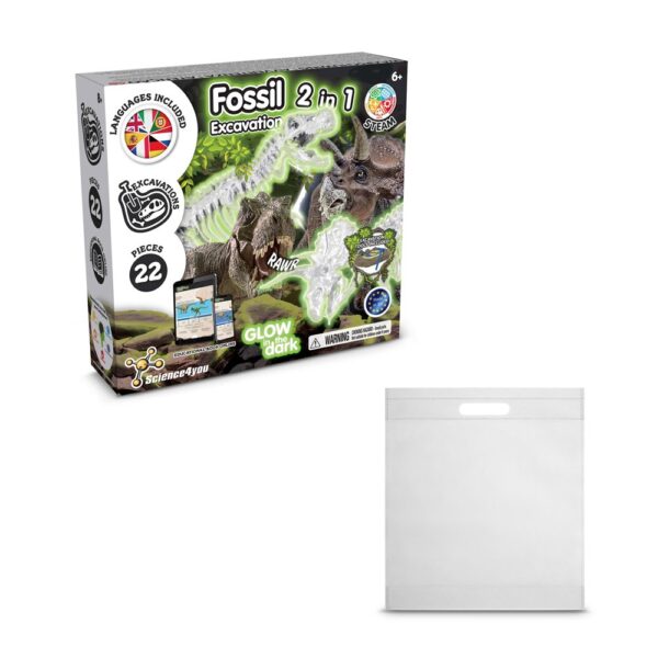 2 in 1 Fossil Excavation Kit IV