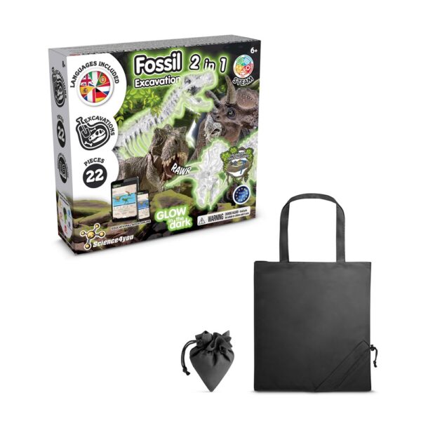 2 in 1 Fossil Excavation Kit V