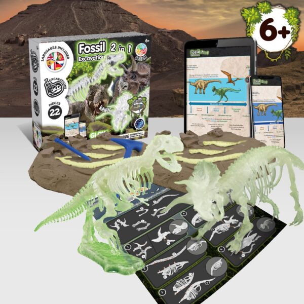 2 in 1 Fossil Excavation Kit V