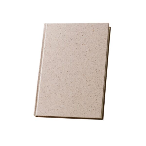 TEAPAD RIGID