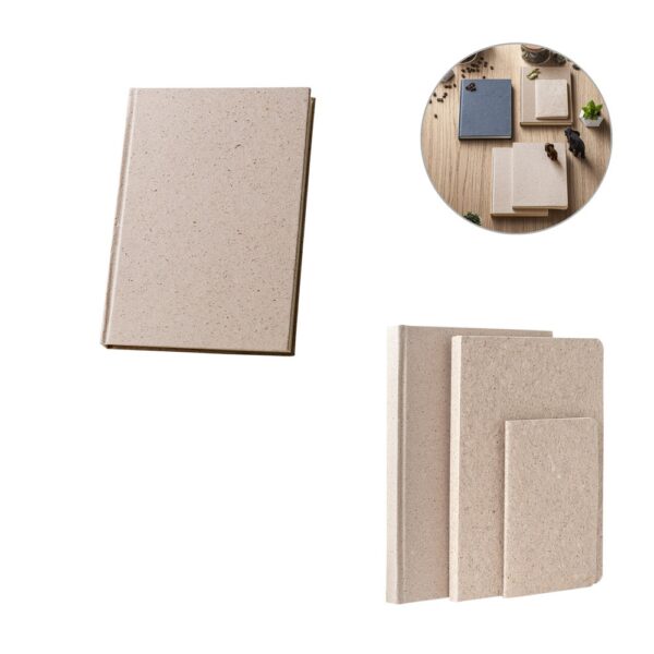 TEAPAD RIGID