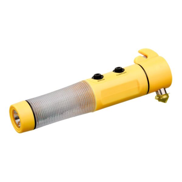 FLASHMER