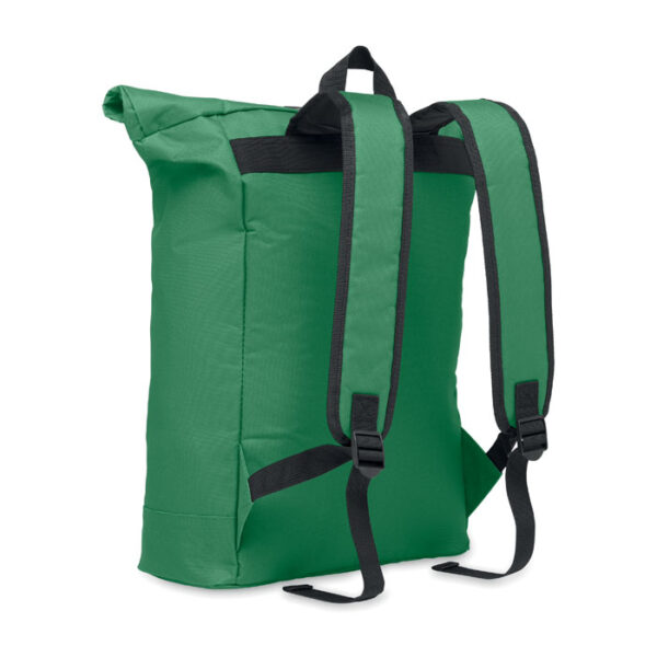 mo2170-60-back IREA