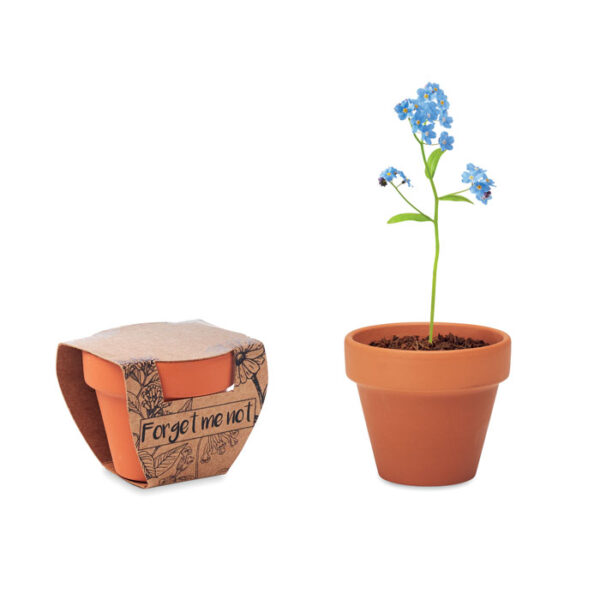 Terracotta pot &apos;forget me not&apos;
