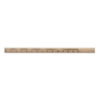 Carpenters pencil with ruler
