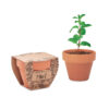 MINT POT