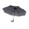 mo2264-03 CANOVA