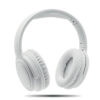 mo2275-06 SILENT