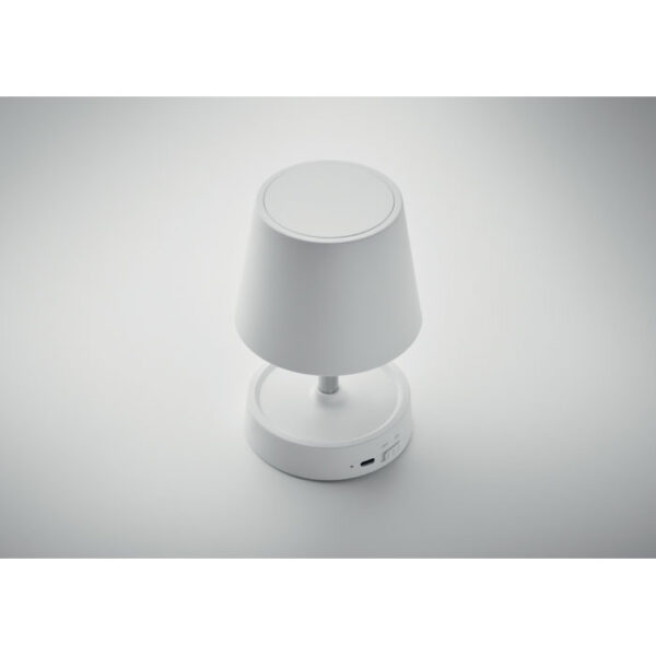 mo2339-06-side TAPLAMB