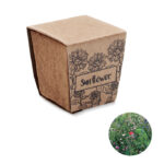 mo2411-13 SUNFLOWER KIT