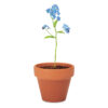 mo6146-40-detail FORGET ME NOT