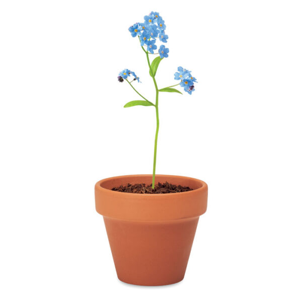 mo6146-40-detail FORGET ME NOT
