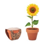 mo6147-40 SUNFLOWER
