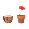 mo6148-40 RED POPPY