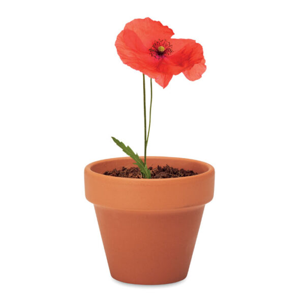 mo6148-40-detail RED POPPY