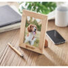 mo6653-40-print GAZO