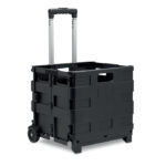 mo6746-03 CARRO