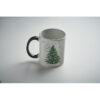 FESTIMUG