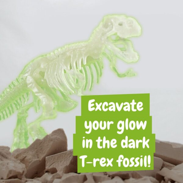 Fossil Excavation Kit II. Educational game supplied with a kraft paper gift bag (90 g/m²), made from FSC™ certified material and other controlled materials