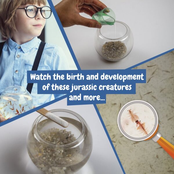 Jurassic Pets Kit II. Educational game supplied with a kraft paper gift bag (115 g/m²), made from FSC™ certified material and other controlled materials