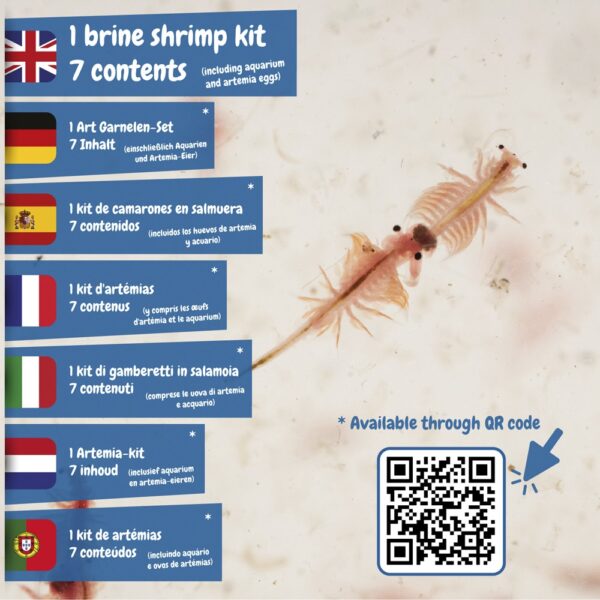 Jurassic Pets Kit II. Educational game supplied with a kraft paper gift bag (115 g/m²), made from FSC™ certified material and other controlled materials