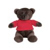 BEAR. Plush Teddy bear in a t-shirt